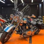 HARLEY DAVIDSON DELUXE CVO