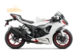KAWASAKI NINJA ZX-6R