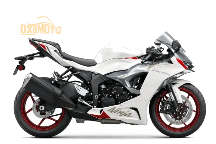 KAWASAKI NINJA ZX-6R