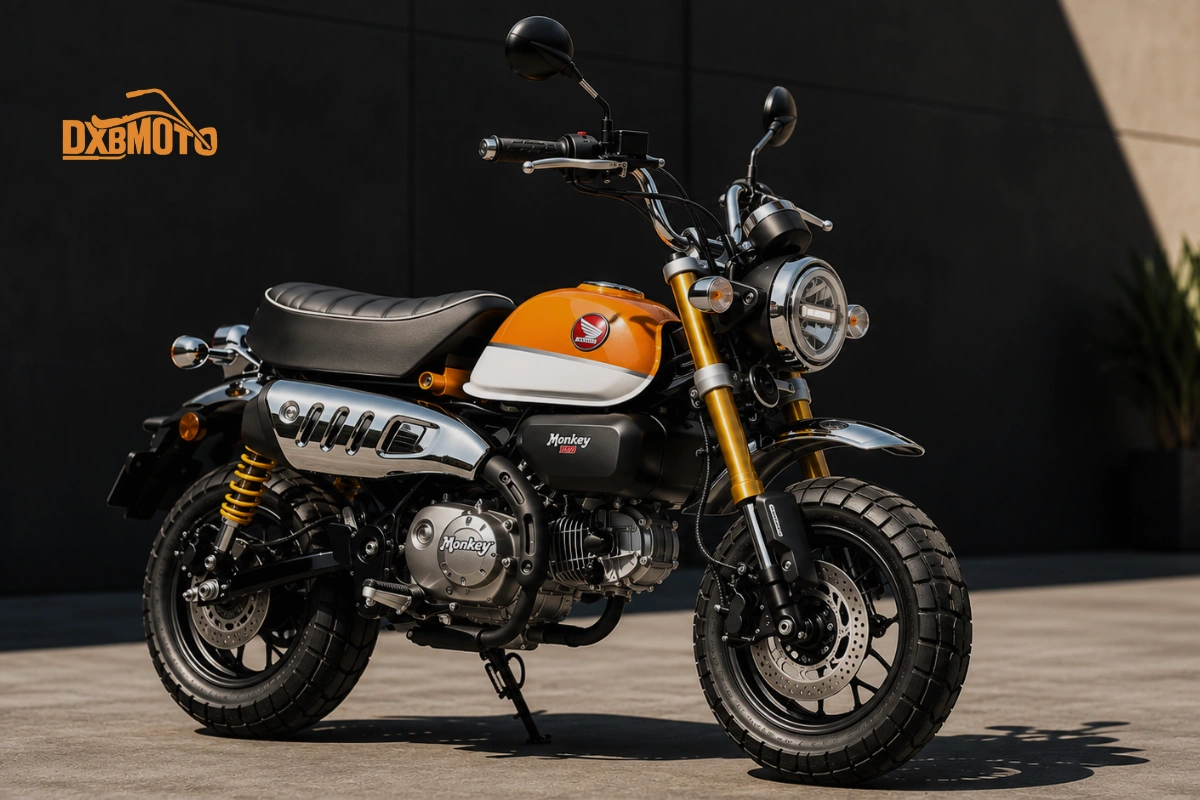 Best Motorcycles for Car Drivers
