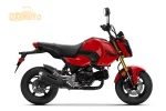 Honda Grom 125
