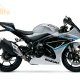 Suzuki GSX-R1000
