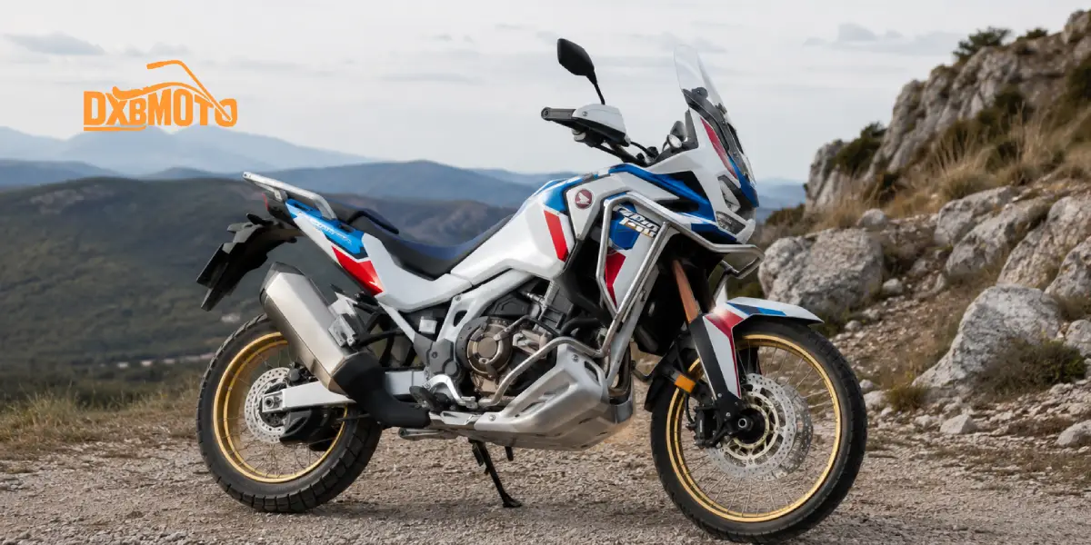 Adventure Bikes