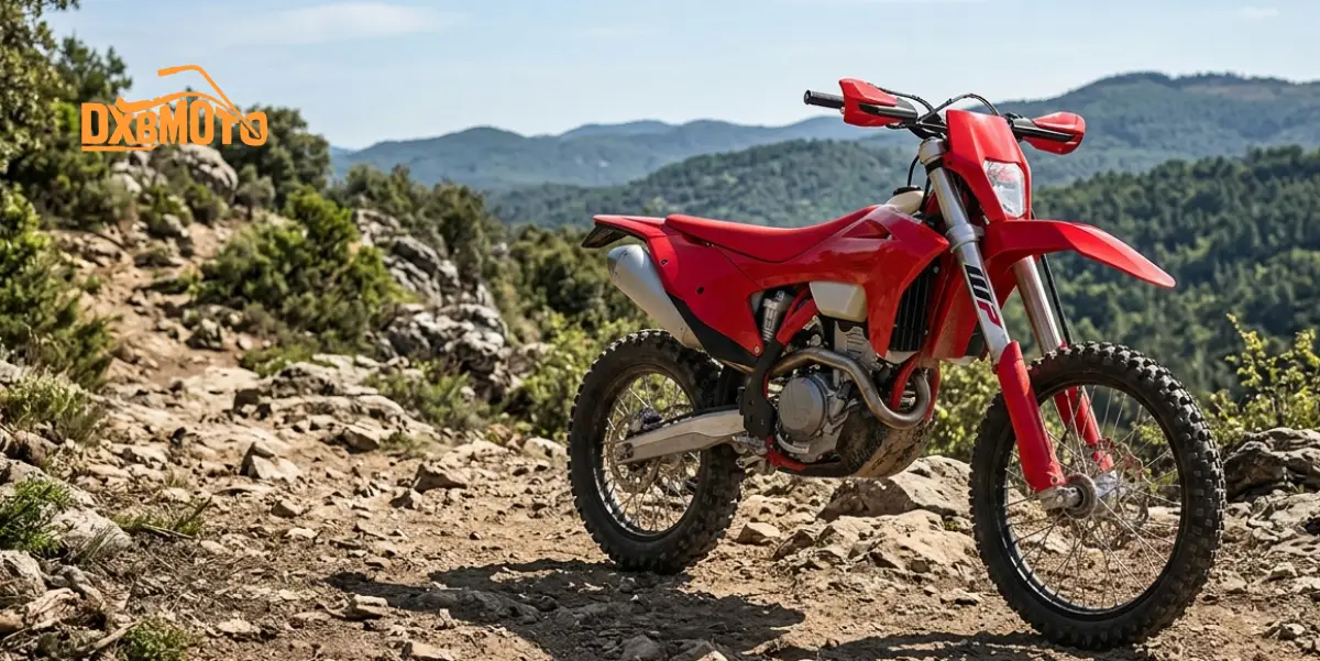 Ducati Desmo450 EDS