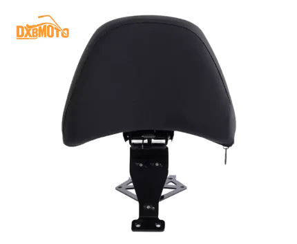 Honda Gold Wing GL1800 Front Driver Backrest