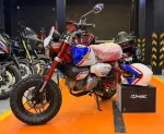 Honda Monkey FTR 125 Limited Edition 2026